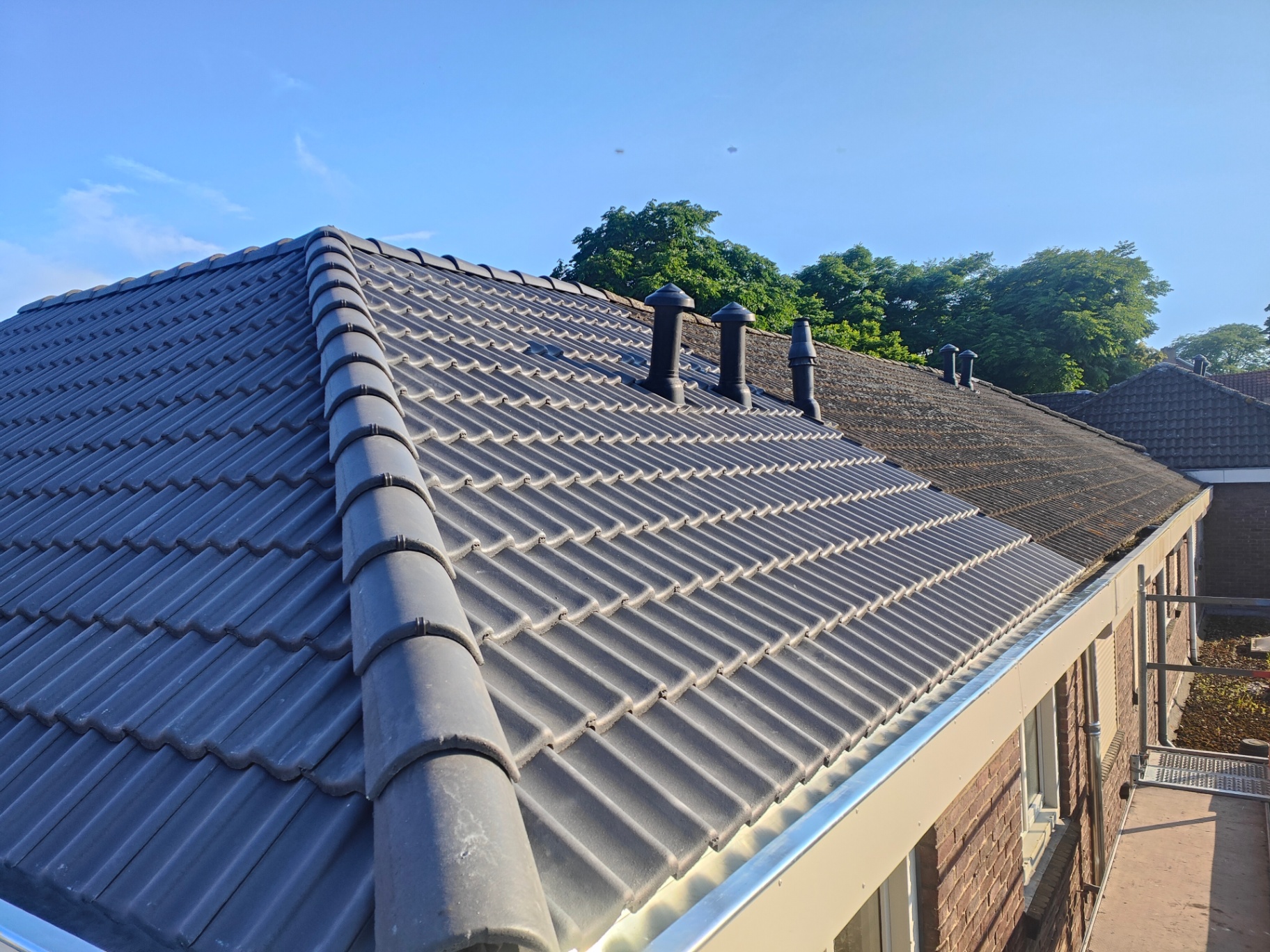 Volledige renovatie pannendak